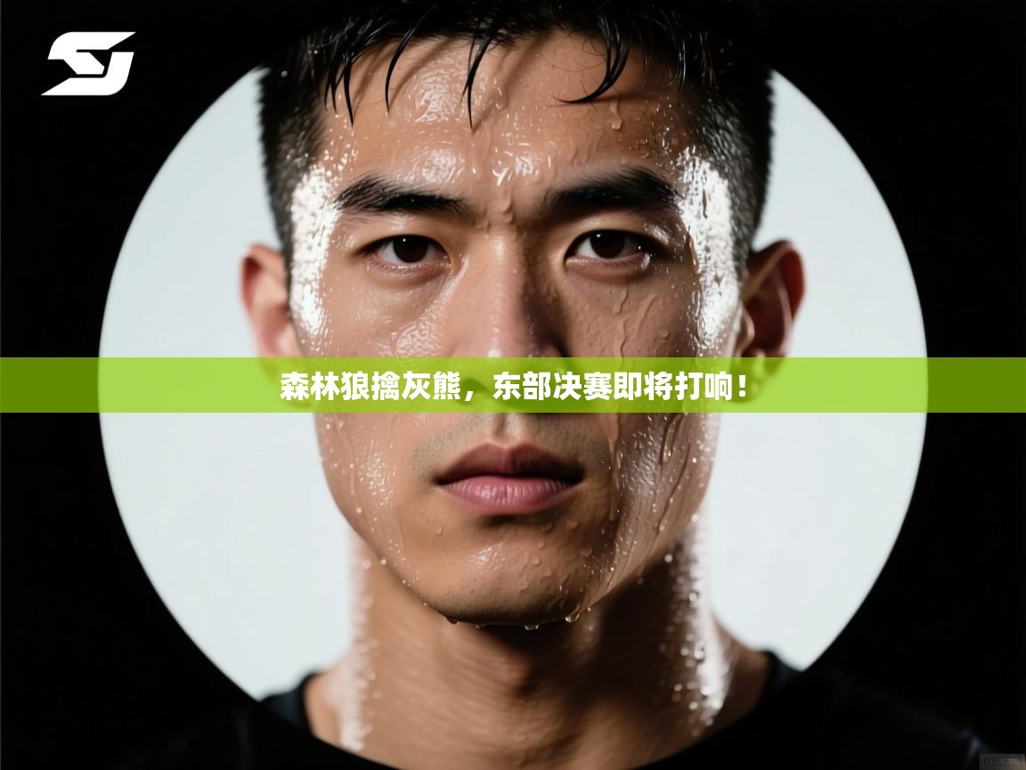 森林狼擒灰熊，东部决赛即将打响！  第1张